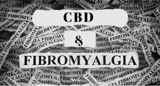 CBD and Fibromyalgia