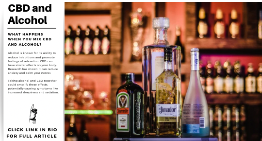 CBD and Alcohol
