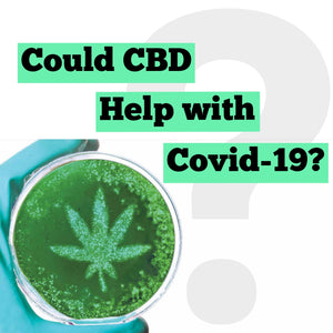 CBD vs COVID | 8LABS CBD